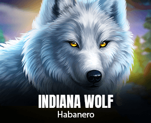 Indiana Wolf