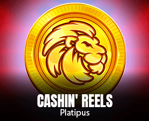 Cashin Reels