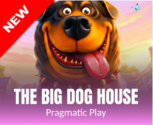 The Big Dog House