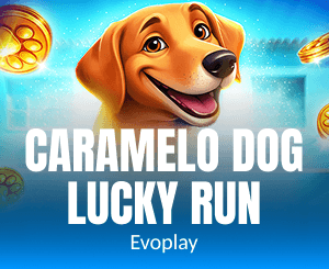 Caramelo Dog Lucky Run