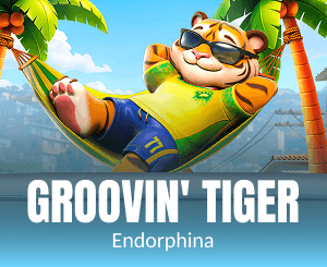 Groovin Tiger
