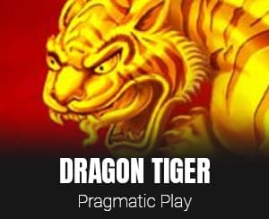 Dragon Tiger