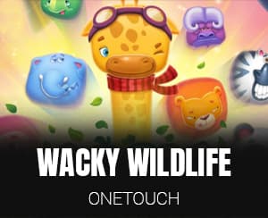 Wacky Wildlife