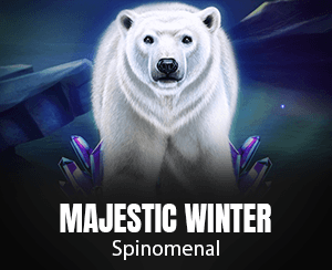 Majestic Winter