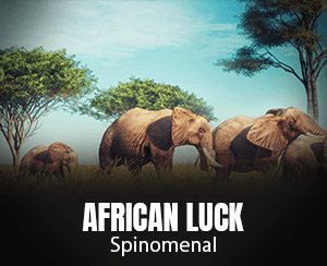 African Luck