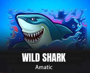Wild Shark