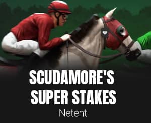 Scudamore's Super Stakes