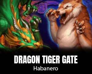 Dragon Tiger Gate