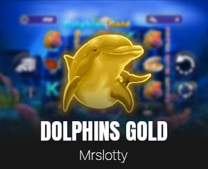 Dolphins Gold