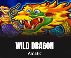 Wild Dragon