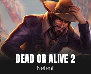 Dead or Alive 2