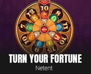 Turn Your Fortune