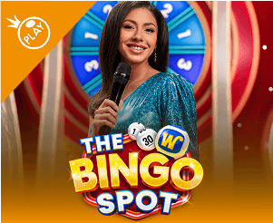 The Bingo Spot
