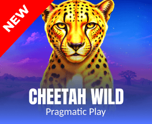 Cheetah Wild