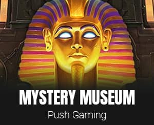 Mystery Museum