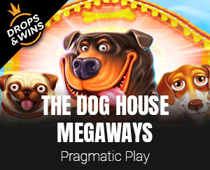 The Dog House Megaways