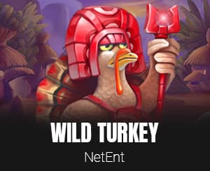 Wild Turkey